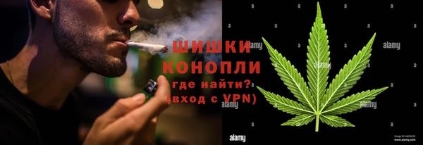 гашик Алексин