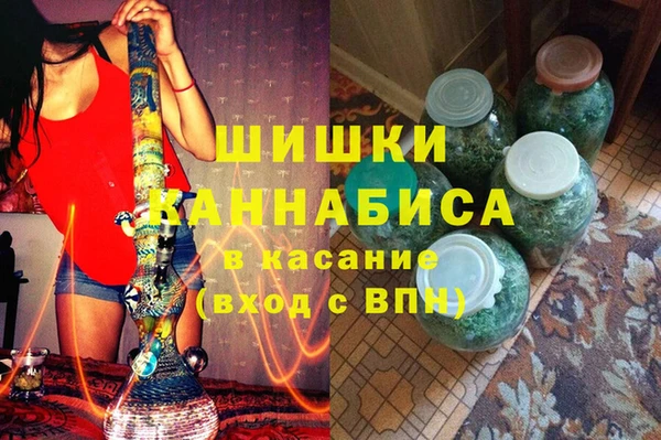 гашик Алексин