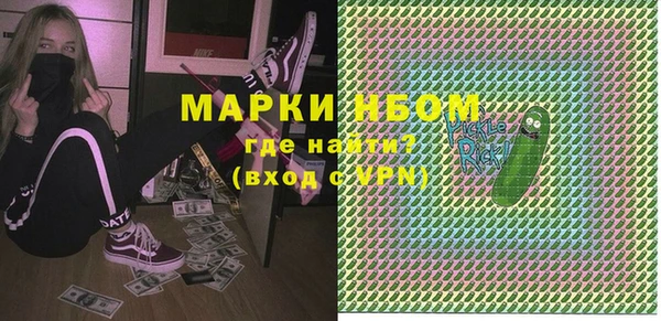 гашик Алексин