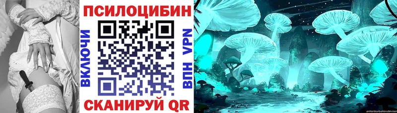 Галлюциногенные грибы прущие грибы  хочу наркоту  Чадан 